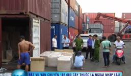 Bắt giữ hơn 100.000 cây thuốc lá lậu giấu trong container